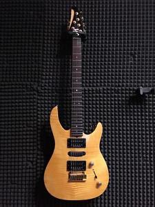 Chitarra elettrica Brian Moore