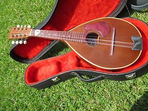 Handmade Mandolin 8 Strings, Tear Design with hard case