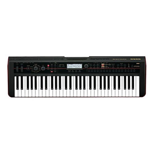 Korg KROSS61 - 61 Key Mobile Workstation (International Version - No Warranty)