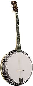 Gold Tone TS-250 Tenor Special Tenor Banjo (Vintage Brown)