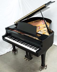 YAMAHA G2 (5'8") - SATIN BLACK FINISH