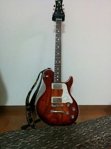 Freedom Custom Guitar Research RRH-12 RR Series Hollow E-Guitar Free Shipping