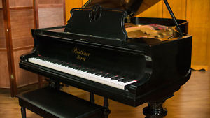 Blüthner Art-case Grand Piano - Amazing Condition - FREE Delivery in USA