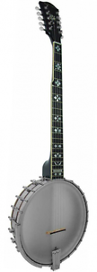 Gold Tone OT-10 Banjo