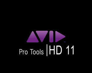 Avid Pro Tools 11, HD11, 10. and HD10 Software License Bundle
