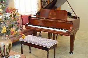 pedigree HAMBURG STEINWAY & SONS Model O grand piano