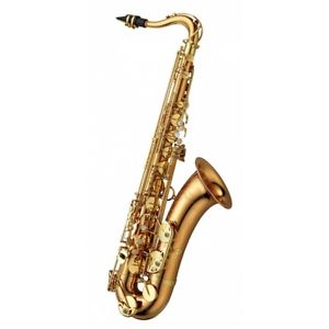 YANAGISAWA Tenor Saxophone - T-WO 2 in BRONZE - Brand New - FREE Shipping !!