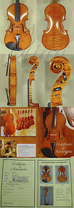 HANDmade 16.5" Maestro GLIGA VASILE Solid VIOLA Maple Wood Flamed