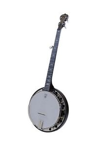 NEW Deering Artisan Goodtime Special Resonator Banjo - Free Gig Bag!