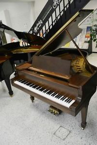 Steinway Model M Grand Piano Cinnamon Walnut