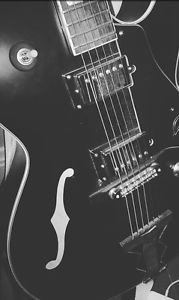 hollow body electric guitar E-175 Premium Epiphone