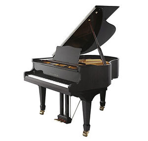 Grand Piano-Petite Baby 4 Feet 11 Inch-Small Enough To Fit In Any Tight Area!