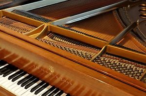 STEINWAY & SONS Model M Baby Grand Piano