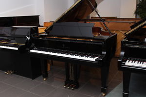 Steinway & Sons Flügel, Mod. A 188, vom Klavierbaumeister generalüberholt