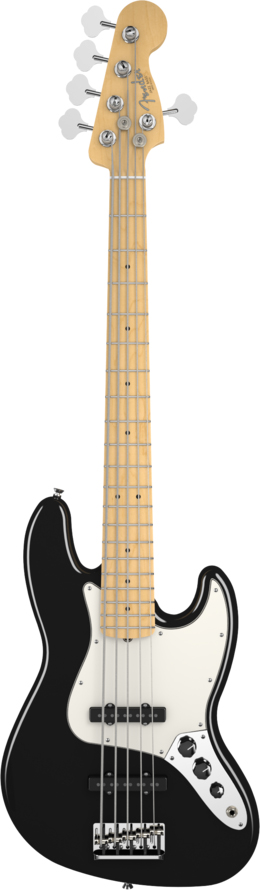 Fender Jazz 5 string Bass Guitar
