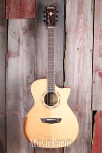 Washburn Comfort WCG25SCE Grand Auditorium Acoustic Electric Guitar with Fishman