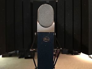 Blue Microphones Blueberry Large Diaphragm Condenser Microphone