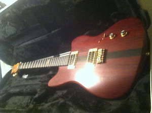 Cocobolo & Wenge Top Set Neck Guitar - 2TEK B Bridge - P-90's - Sperzels - SKB