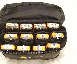 12 Custom Seydel Session Steel Harmonicas