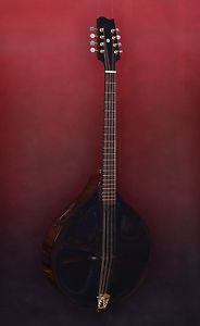 James Curtis Handmade Octave Mandolin Bouzouki Arch Top Back family
