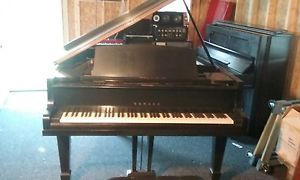 Yamaha G2 Grand Piano  5'-7" LOW PRICE FREE MOVE/TUNE E USA