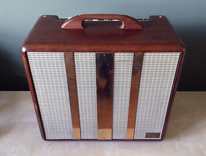 Fender Woody Pro Exotic Guitar Amp