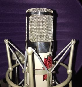 BeesNeez Tribute 2 T2 ELAM 251 Valve Tube Microphone Used but Immaculate