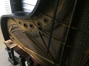 BEAUTIFUL STEINWAY & SONS MODEL B GRAND PIANO