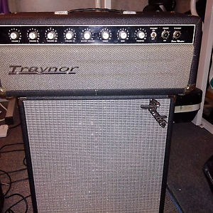 Vintage 1969 Traynor YVM-1 Voicemaster Amp