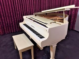 Schafer Sons grand piano WATCH VIDEO! Los Angeles G026283