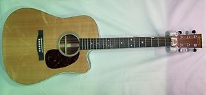 Martin DCPA4 Rosewood w/case