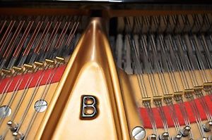 Steinway Model B, 2004,EACH B has a very different touch and tone choose wisely
