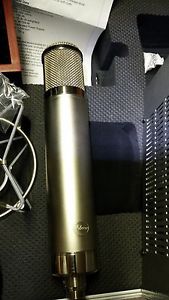 Peluso P12 Tube Condenser Professional Studio Recording Microphone