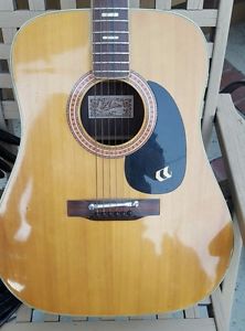 Aria Dreadnought AD 28 Acoustic 