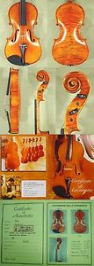 HANDmade Flamed 16.5" GLIGA VASILE Maestro Level VIOLA from ViolinsLover