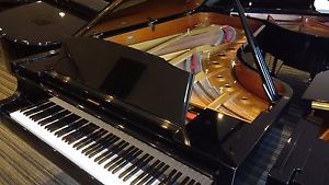 KAWAI 8'2"' Concert Grand - One Owner 1983 Model GS-80 in Outstanding Condition!
