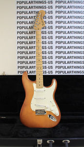 Fender Brown 2012 6 String Brazilian Exotic Wood Stratocaster Guitar