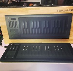 Roli Seaboard RISE 25 + Original Flip Case