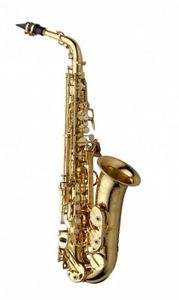 YANAGISAWA Alto Saxophone A-WO10 with case and mouthpiece