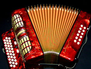 WOW  Made in Germany  G/C/F Hohner Corona III R diatonic accordion case + straps