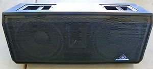 ****Grund Audio GT2420M Speaker****