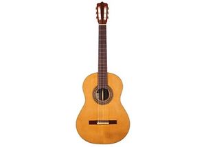 Michael Brey – 2016 Meistergitarre Gitarre Guitar