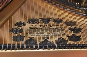 Steinway M Custom Rebuilt by Steinway Dealer to High Standards. 50 yr. life left