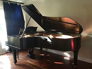 1882 C. Bechstein Grand Piano Model B with Ebony Finish