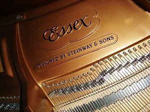 DESIGNED BY STEINWAY & SONS Flügel Stutzflügel Grand Piano Pianofort Klavier