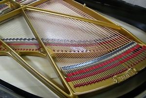 Grotrian Steinweg Flügel Salonflügel Stutzflügel Klavier Piano Pianoforte