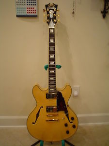 D'Angelico EX DC Excel Electric Semi-Hollow with Hardshell Case Mint