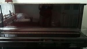Steinbach upright mahogany high gloss finish piano