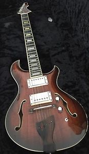 Kevin Pederson Custom Hollow Body Electric Guitar (Formerly Abyss Guitars)