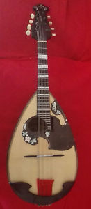 Calace mandolin of the 1909 wonderfull